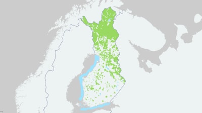 Forststyrelsens marker i Finland