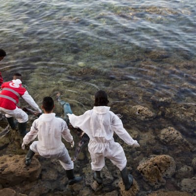 Libyan Punaisen puolikuun työntekijät nostivat merestä rantaan ajautuneita siirtolaisten ruumiita Libyan rannikolla kesäkuussa 2017.