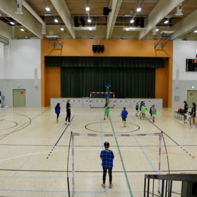 handbollsmatch