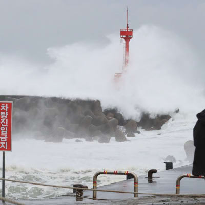Maysak-taifuuni nostatti myrskyaaltoja keskiviikkona Jejun saarella Etelä-Koreassa.