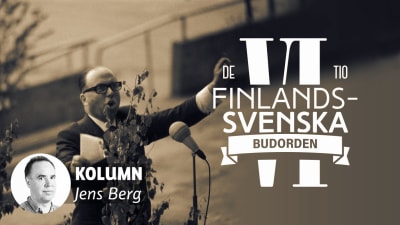 De tio finlandssvenska budorden artikel 6