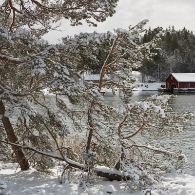 Snöigt landskap med en vik och ett båthus i bakgrunden