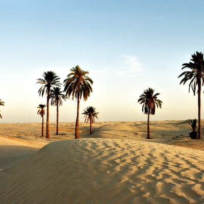 Sahara
