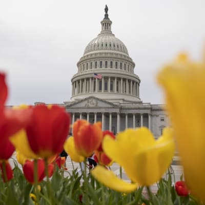 Yhdysvaltain kongressin rakennus Washingtonissa.
