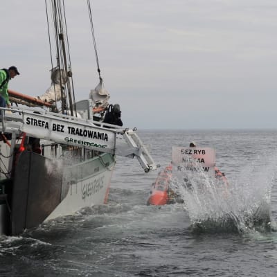 Greenpeacen aktivistit pudottelevat mereen kivenlohkareita
