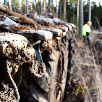 Ett lerigt skogsmaskinshjul. Västklädda män i bakgrunden.