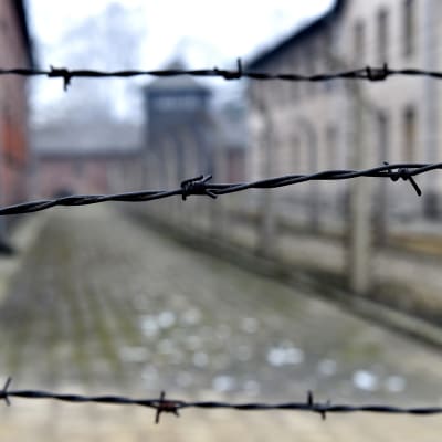 Auschwitz-Birkenaun keskitysleiri kuvattuna ennen holokaustin uhrien muistopäivän seremonioita lauantaina.