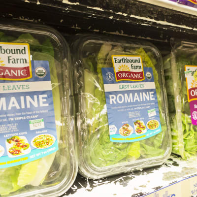 Romaine-salaattirasioita.