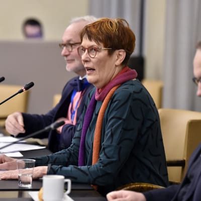 vihreiden kansanedustaja Satu Hassi puhuu suuren valiokunnan ja suomalaisten europarlamentaarikkojen tapaamisessa eduskunnassa Helsingissä 22. marraskuuta
