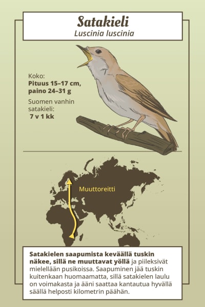 satakieli