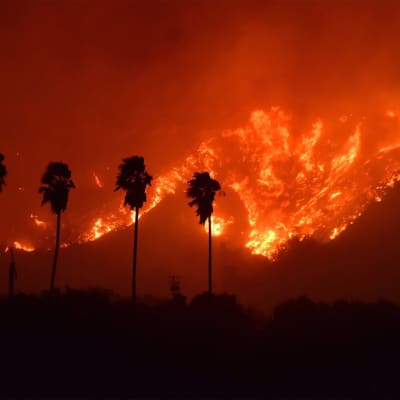 Markbranden flammade upp i Ventura county väster om Los Angeles den 4 december 2017.