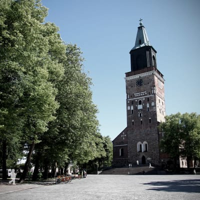 Åbo domkyrka i en lite mörkare bild.