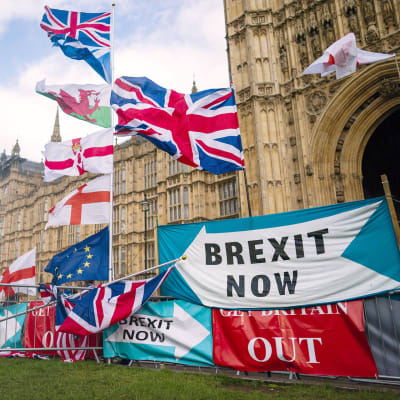 Utanför parlamentsbyggnaden i London syns flaggor och skyltar. 