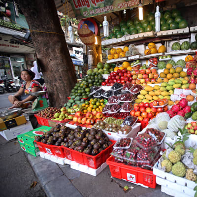 Hanoilainen hedelmäkauppias.