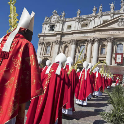 Kardinaalit osallistuivat palmusunnuntain messuun 9. huhtikuuta.