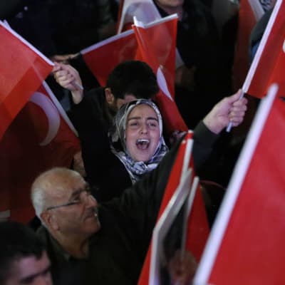 Turkin hallinnon kannattaja