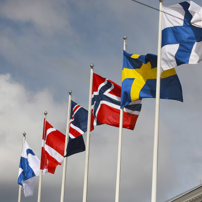 Pohjoismaiden liput liehuvat kaupungintalon edustalla.