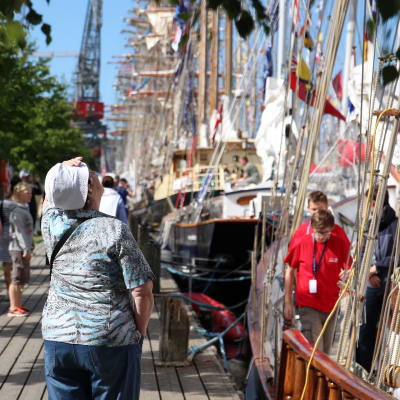 Tall Ships Races