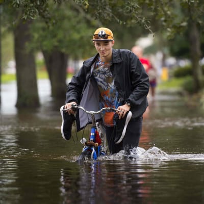 Mies työnsi pyöräänsä tulvavedessä Jacksonvillessa, Floridassa 11. syyskuuta.