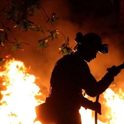 Palomies sammuttamassa maastopaloa Calistogassa, Kaliforniassa 12. lokakuuta.
