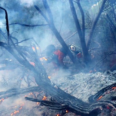 Palomies taistelee tulta vastaan Kaliforniassa.