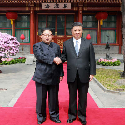 Pohjois-Korean johtaja Kim Jong-un ja Kiinan presidentti Xi Jinping kättelevät Kim Jong-unin Kiinan vierailulla  maaliskuussa 2018.