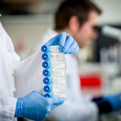 Laboratorio
