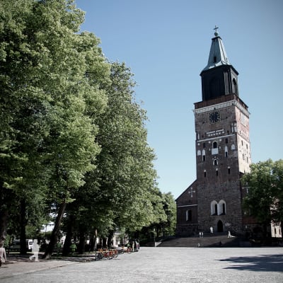 Åbo domkyrka i en lite mörkare bild.