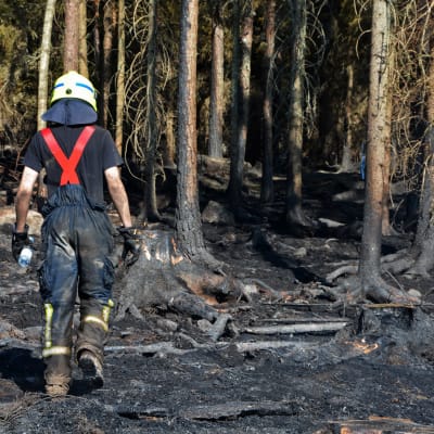 Släckning av skogsbrand i Pyhäranta i juli 2018.