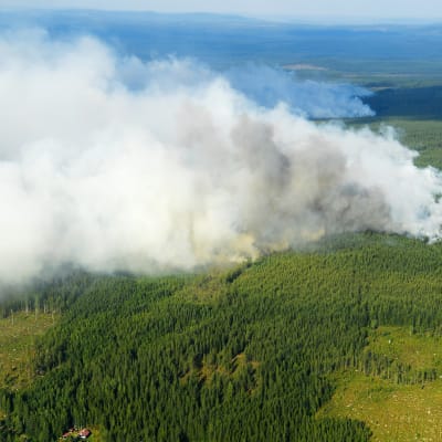 En skogsbrand i Ljusdal i Sverige. 