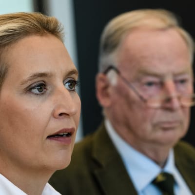 Alice Weidel ja Alexander Gauland