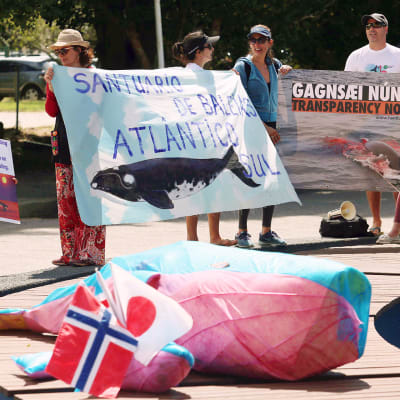 Valaanpyyntiä vastustavia mielenosoittajia Brasiliassa.