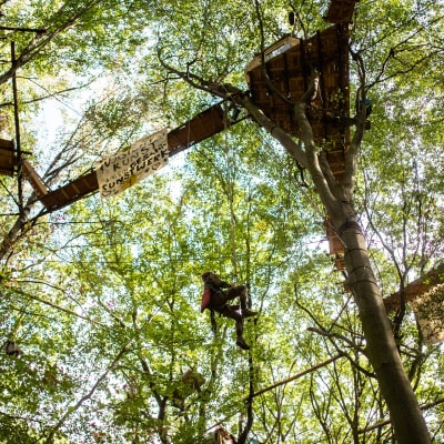 Luontoaktivisti kiipeää puumajaansa Hambachin metsässä.