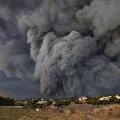 Skogsbränder i Kalifornien. 
