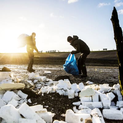 Vapaaehtoiset siivoavat MSC Zoen konteista rantaan huuhtoutuneita pakkauksia Moddergatissa Hollanissa.
