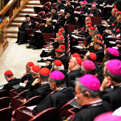 Paavi Franciscus oli paikalla Vatikaanissa meneillään olevassa piispojen kokouksessa 23. helmikuuta.