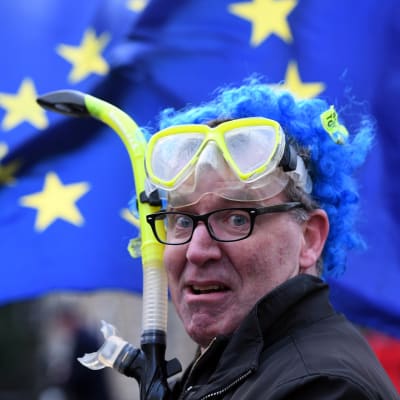 EU-jäsenyyttä kannattava mielenosoittaja oli varustautunut snorkkelilla tiistaina. 