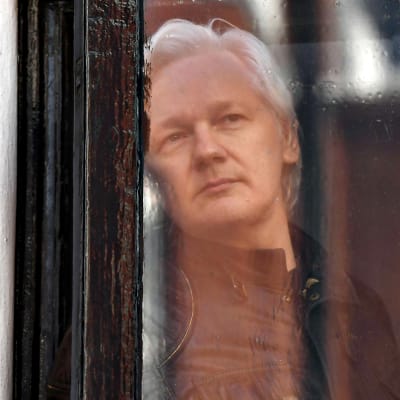 Julian Assange katselee ulos ikkunalasin takaa.