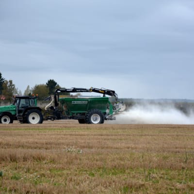En grön traktor med släp sprider ut strukturkalk på en åker.