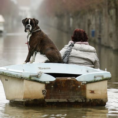Koira ja nainen veneessä Pariisissa tulvan peittämällä kadulla.