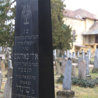 Kuvituskuva. Juutalainen hautausmaa Pécsissä, Unkarissa.