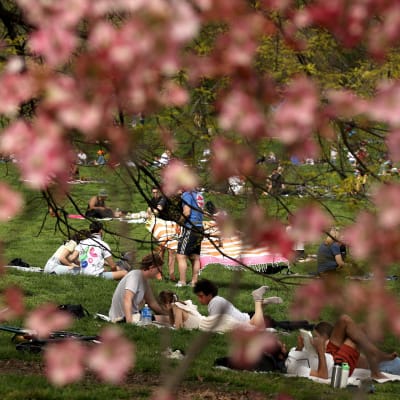 Ihmiset nauttivat aurinkoisesta kevätsäästä rajoituksista huolimatta Prospect Parkissa, New Yorkissa 2. toukokuuta.
