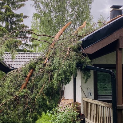 Puu kaatunut talon päälle myrskyssä.