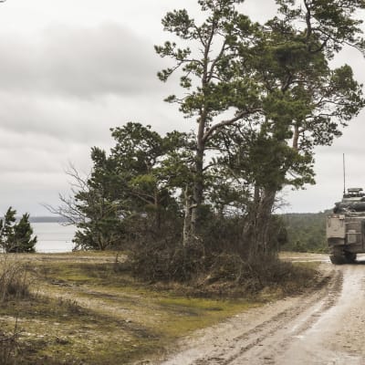 Ruotsalainen panssari pienellä rantatiellä Gotlannissa.