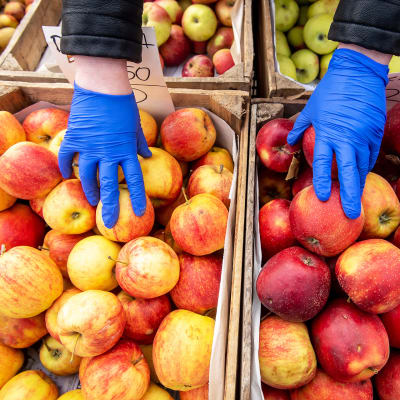 Omenoiden lajittelua puolalaisella vihannestorilla.