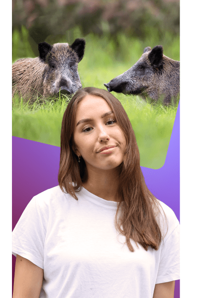 Isabella Biorac Haaja i en vit t-tröja mot en lila bakgrund och vildsvin