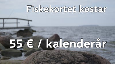 Fiskekortet kostar 55 euro per kalenderår.