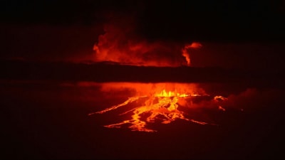 Vulkanen Wolf på en av Galápagosöarna har haft ett utbrott för första gången på 33 år.