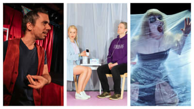 Grus grus teater, Blaue Frau och Teater Viirus