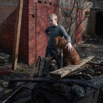 Poika ja koira tuhoutuneen kotinsa raunioilla Balaklijassa, Ukrainassa 24. maaliskuuta. Panssarivaunujen ammuksia säilyttänyt varasto räjähti sabotaasi-iskussa.